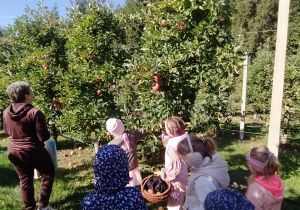 Wspólne zbieranie cz.2